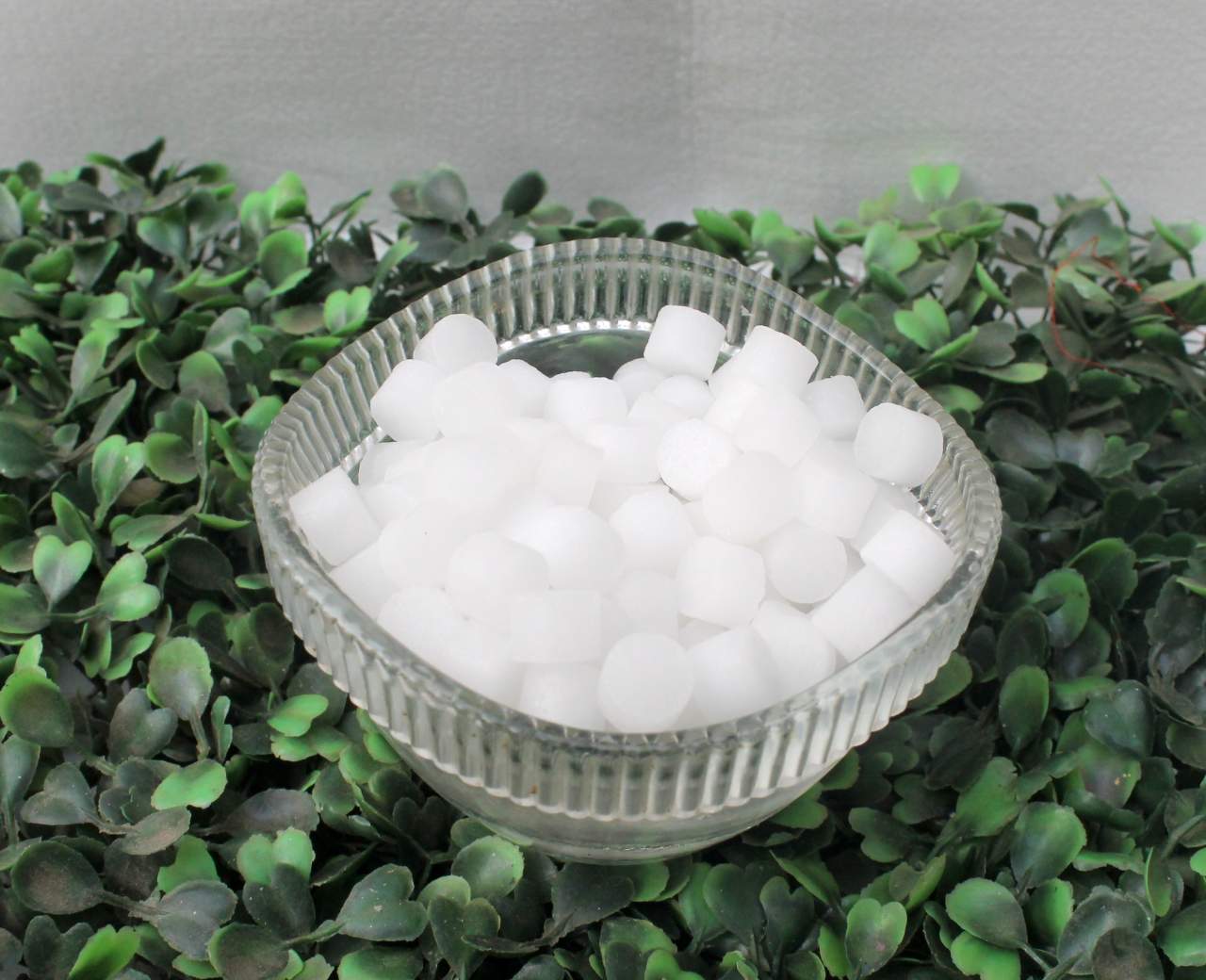 Camphor (Round)